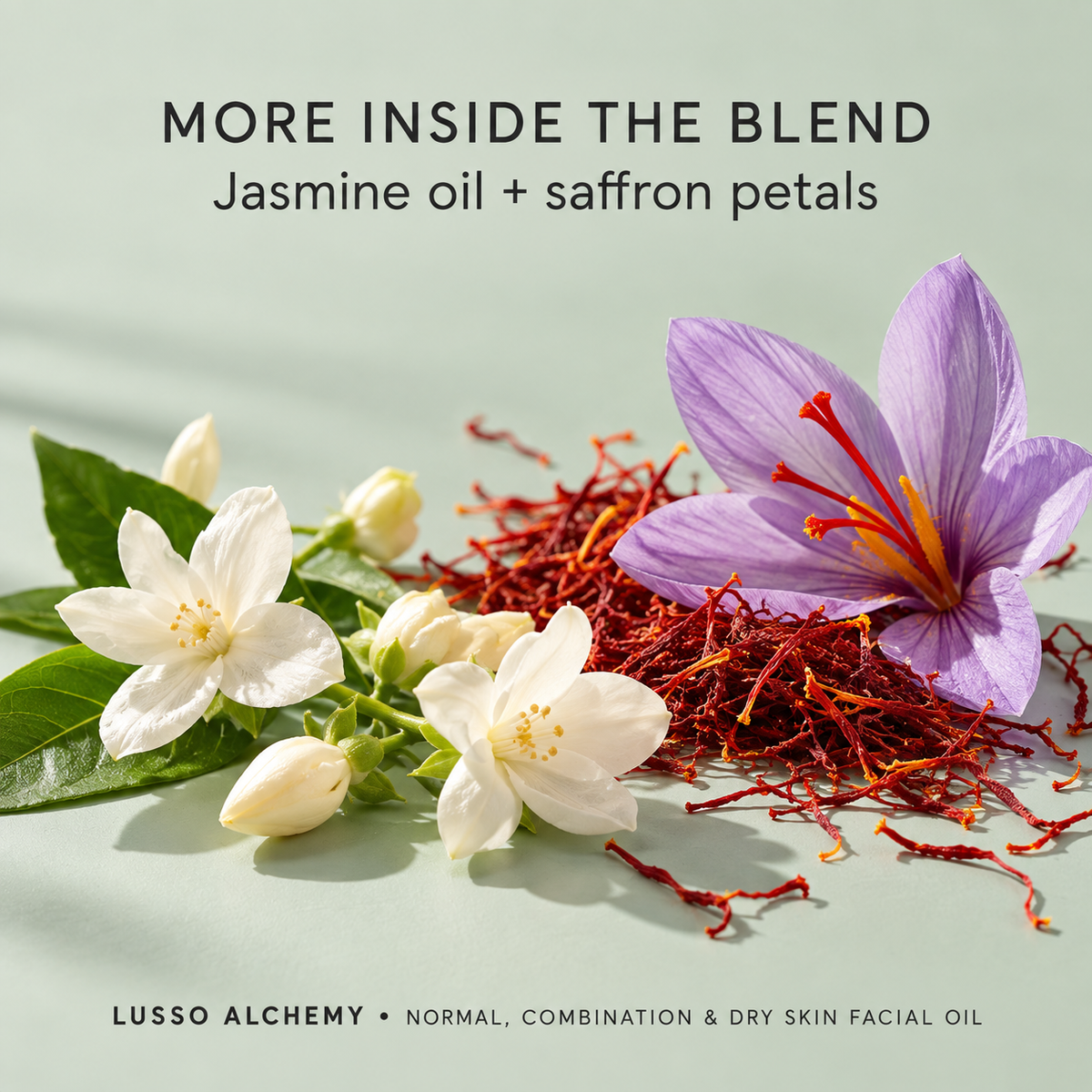 Radiance Balance Facial Oil for Pigmented & Oily Acne-Prone Skin | Rosehip, Pomegranate & Argan
